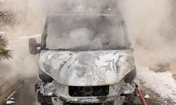 Van'da park halindeki kamyonet yandı