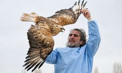 Yırtıcı kuşlar Van'daki merkezde yapılan tedaviyle hayata tutunuyor