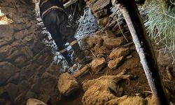 Van'da ahır çöktü: 50 kuzu göçük altında kaldı