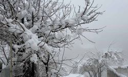 Hakkari’de 82 yerleşim yerinin yolu kapandı