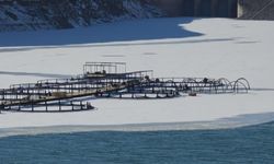 Zernek Barajı'nın buzları çözülmeye başladı
