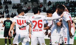 Vanspor deplasmanda gol olup yağdı!