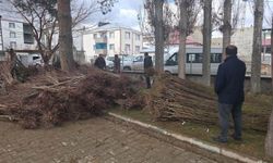 Van'da yüzde 90 hibeli 50 bin adet meyve fidanı dağıtımı yapıldı