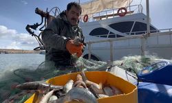 Van'da kaçak avlanmanın cezası 16 bin TL