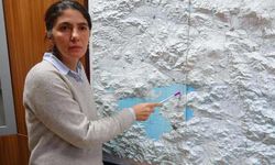 Uzmanından önemli Van depremi açıklaması: Tetikleyici değil!