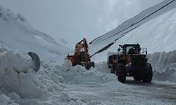 Bahçesaray yolunda çalışma yeniden başladı