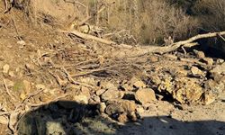 Bahçesaray'da bir heyelan daha!