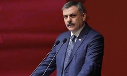 İçişleri Bakanı Çiftçi’den Van’daki olay ile ilgili açıklama: Mülkiye müfettişi görevlendirildi