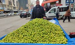 Van’da can erik tezgahlardaki yerini aldı