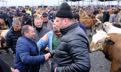 Canlı hayvan pazarında yoğunluk