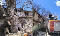 Çatak’ta ceviz ağacı ahırın üzerine devrildi