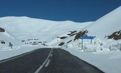 Bahçesaray yolundaki çalışmalara çığ riski nedeniyle ara verildi