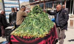 Dağlardan sofralara! Van'da çiriş otunun kilosu 100 TL'den satılıyor