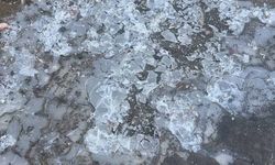 Yüksekova'da dondurucu soğuklar