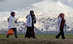 Fedakar ebeler gebeler için yollarda