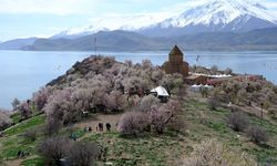 Van’da Badem Çiçeği Festivali iptal edildi