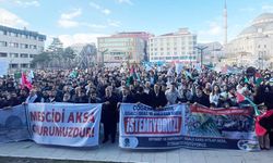 Van’da Filistin için dayanışma yürüyüşü