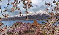 Van’da foto safari kayıtları başladı