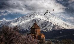 Van’da foto safari yarışmasının sonuçları açıklandı