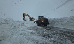 Karabet Geçidi'nde çalışmalar kar yağışı altında devam ediyor