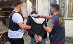 Siber suç şebekesine operasyon: 12 gözaltı