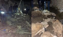 Van'da ahır çöktü: 56 küçükbaş hayvan telef oldu