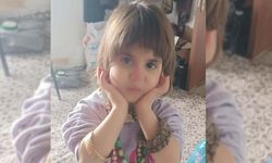 Hizan'da kaybolan 4 yaşındaki çocuk aranıyor