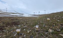 Van'da iki mevsim bir arada