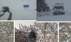 Van'da iki mevsim bir arada: Bir yanda bahar, diğer yanda kış