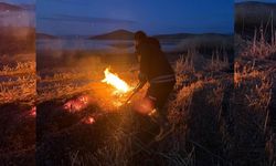 Van'da iki ayrı sazlık yangını!