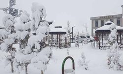 Başkale’de kar yağışı