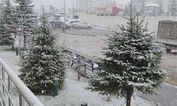 Van'da nisan ayında her yer beyaza büründü