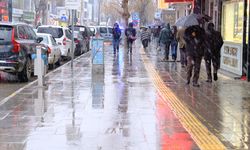 Van’da Nisan ayında kar sürprizi