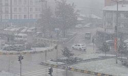 Erciş’te nisan ayında kar yağışı