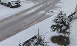 Erciş'te nisan ayında kar yağışı