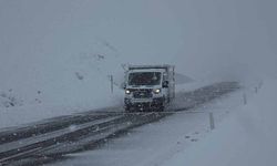 Van’da nisan sürprizi