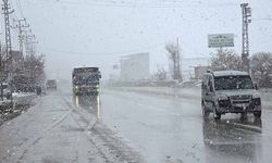 Van'da kar yağışı ve sis Kurubaş Geçidi'nde etkili oldu