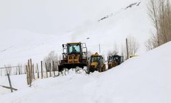 Nisanda karla mücadele çalışması