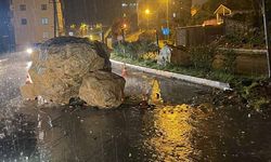 Şemdinli'de yola dev kaya parçaları düştü