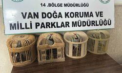 Van'da keklik avlayan şahsa 86 bin 278 lira para cezası