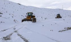 Van’da kış geri döndü! 93 yerleşim yeri yolu ulaşıma kapandı