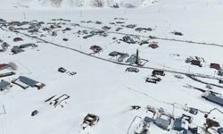 Van ve Bitlis'in kırsal bölgelerinde zorlu kış şartlarıyla mücadele sürüyor