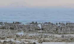Van Gölü'nde alarm! Mikrobiyalitler gün yüzüne çıktı