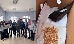 Van'da öğrencilerin bulduğu ebabil kuşu, koruma altına alındı