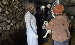 Van'da çiftçilere yönelik eğitim seferberliği başlatıldı