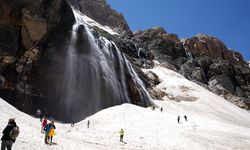 Prof. Dr. Alaeddinoğlu: Özel yasa çıkarılmalı