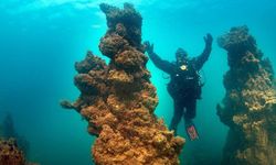 Van Gölü'nün dev mikrobiyalitleri dünya rekorlar kitabı yolunda