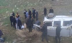 Van'da kamyonet şarampole devrildi: 4 yaralı