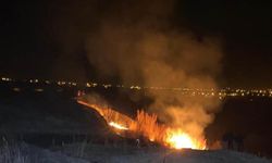 Van'da sazlık alanda yangın çıktı