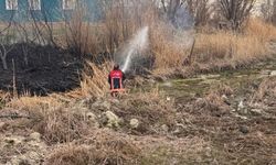 Van'da sazlık alanda yangın